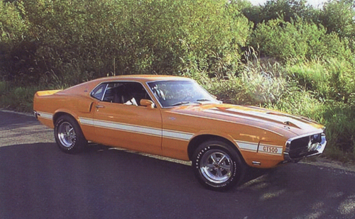 Image For 1969 GT 500